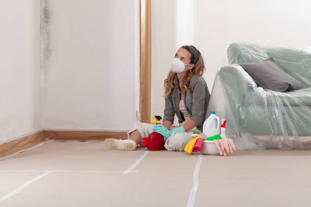 Reliable Mold Remediation contractor in Forest Hill, TX by WQB Mold Removal
